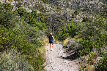 Hiker on Rocky Trail Surrounded by Greenery in Mountainous Terrain