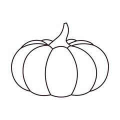Outline Pumpkin. Autumn pumpkin element.