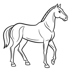 Obraz premium Hand Drawn Black Outline Horse Illustration White Background