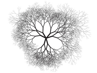 Branching network or tree viewed from above. Binary fractal algorithmic design.