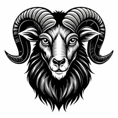 Detailed Black and White Ram Head Illustration