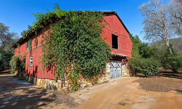Red Barn with Climbing Vines
