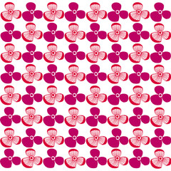 Seamless pattern red and pink flowers