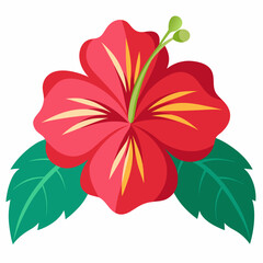 red hibiscus flower