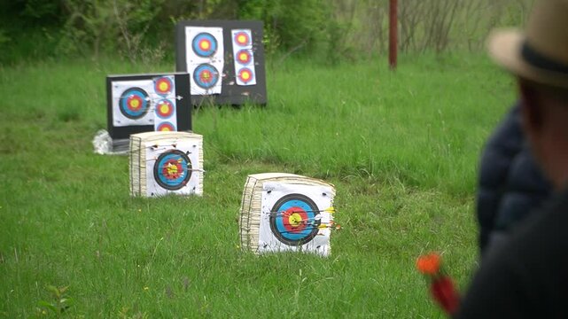 
 Shooting with professional bow, outdoor sport archery activity.
Arrows hit a three-dimensional animal-shaped target.  Archery competition

