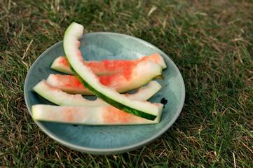 Top-view of several watermelon peels neatly arranged on a green plate on grass. High quality photo