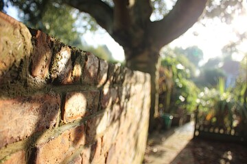 Brick wall, sunlit shadow, blurred garden