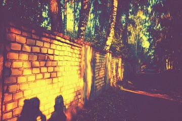 Sunlight filters through trees, casting shadows on a brick wall