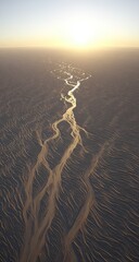 Aerial view of a winding riverbed through a sandy desert landscape at sunrise or sunset