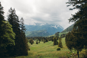 mountain landscape in the mountains
