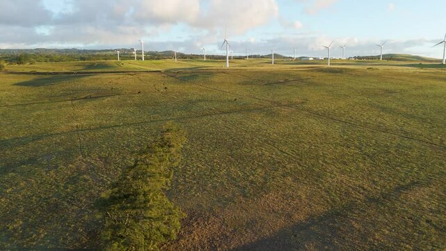 Aerial view of wind farm in green fields, United States.