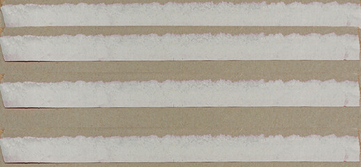 Ripped Gray Paper Texture Backgrounds with Rough Edges. Ideal for Creative Project.