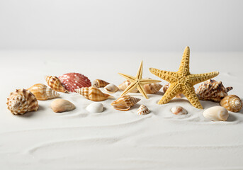Seashells and Starfish Arrangement