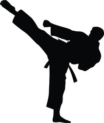 Martial arts silhouette kicking karate fighter