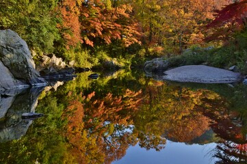 嵐山（らんざん）渓谷の紅葉