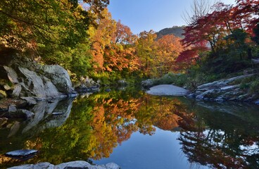 嵐山（らんざん）渓谷の紅葉