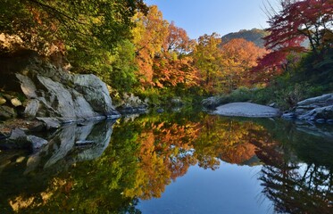 嵐山（らんざん）渓谷の紅葉