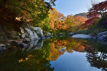 嵐山（らんざん）渓谷の紅葉