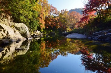 嵐山（らんざん）渓谷の紅葉