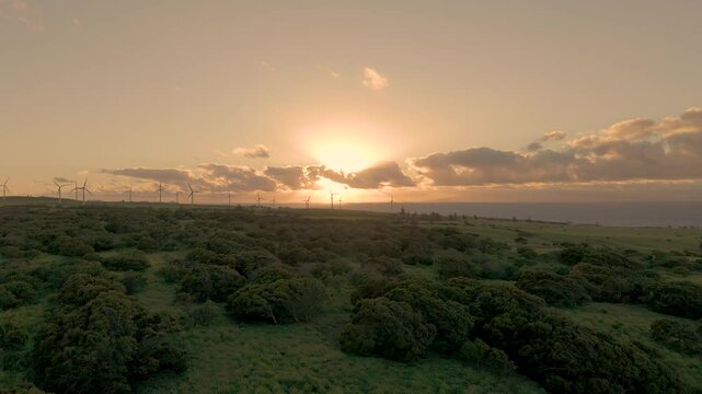 Aerial view of sunset over landscape with wind turbines, Hawaii.