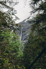 waterfall in the forest