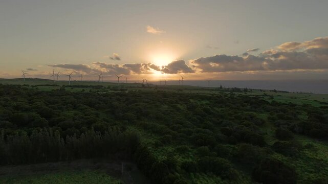 Aerial view of sunset over wind turbines and ocean, Hawaii.
