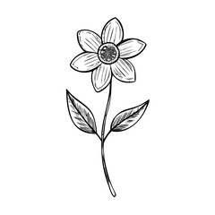 "Ultimate SVG Vector Design Bundle &ndash; Abstract, Geometric, Botanical, Mandala, Minimal, Vintage & Modern Elements for Cricut, Laser Cutting, Sublimation, and DIY Crafts"