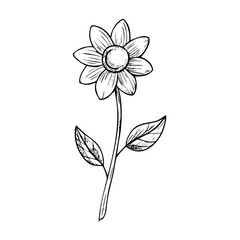 "Ultimate SVG Vector Design Bundle &ndash; Abstract, Geometric, Botanical, Mandala, Minimal, Vintage & Modern Elements for Cricut, Laser Cutting, Sublimation, and DIY Crafts"