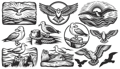 Vintage monochrome vector illustrations depicting seagulls in various poses, including standing on mooring posts and soaring over ocean waves against sun rays