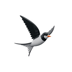 A swallow in flight