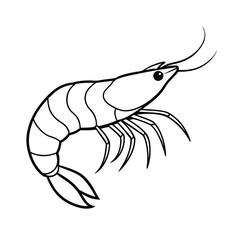 shrimp vector illustration