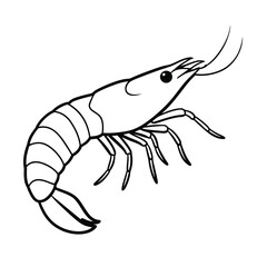 a hand drawn illustration of ashrimp