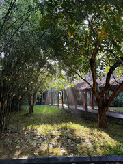 Naklejka premium peak view from a park