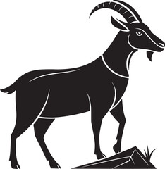 Fototapeta premium Black ibex standing on rocks goat animal