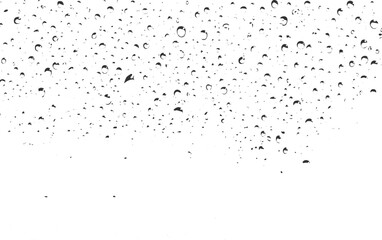 Black chalk pieces and dust flying, effect explode isolated on white, Abstract Black Particles on White Background