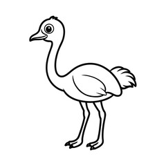 ostrich cartoon isolated on white