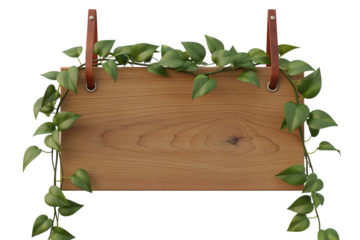 Wooden sign with hanging green vines isolated on transparent background