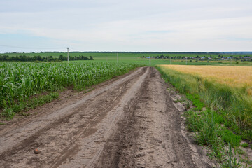 Dirt road through farmland with crops and distant village under a cloudy sky