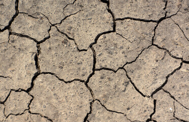 Cracked Earth Texture A Close-Up View of Dried Soil