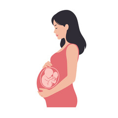 Pregnant woman anatomical profile with fetus in womb, stylized side view. Flat vector image on transparent background