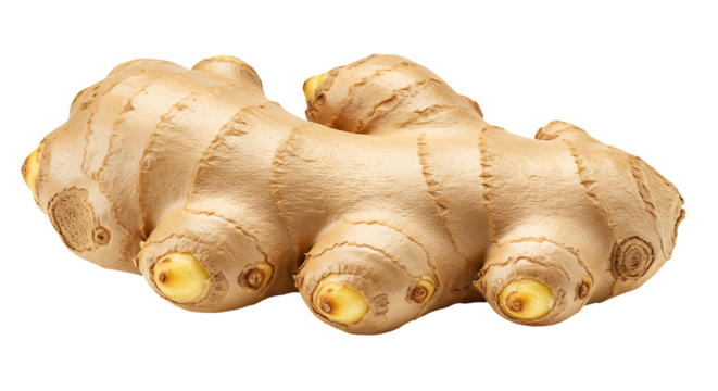A piece of fresh ginger with a textured light brown surface prominent nodes and yellow buds against a dark background
