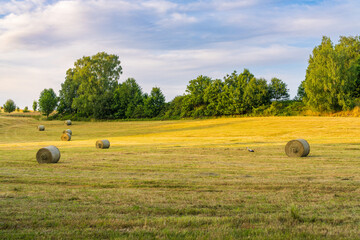 Scenic rural field with hay bales under soft sunset glow. Quiet agricultural landscape capturing...