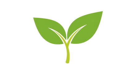 Green sprout leaves isolated on a transparent background