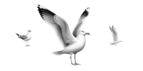 Fototapeta premium Seagull, halftone vector illustration of a seagull flying, standing, in retro comic book style with bold dotted texture. High contrast black and white image isolated on white background. Stylized sea,