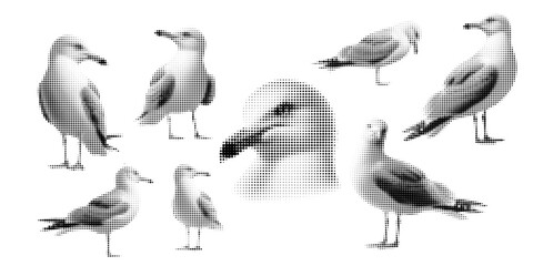 Seagull, halftone vector illustration of a seagull flying, standing, in retro comic book style with bold dotted texture. High contrast black and white image isolated on white background. Stylized sea