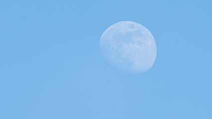 Moon seen on the bright summer day. High quality photo