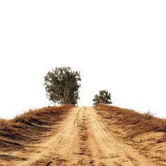 Sandy path with trees on transparent Background