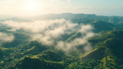 Misty mountain range, lush green forests