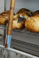 Freshly baked sourdough loaves cooling on racks in bakery with paddle leaning against shelves