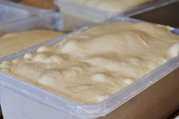 Close up of sourdough fermenting in containers in bakery